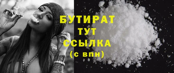 сатива Аркадак