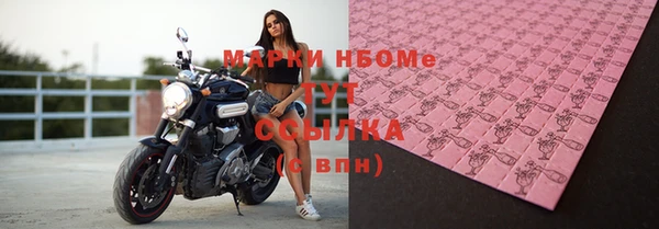 мяу мяу мука Баксан