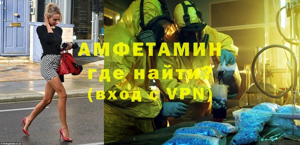сатива Аркадак