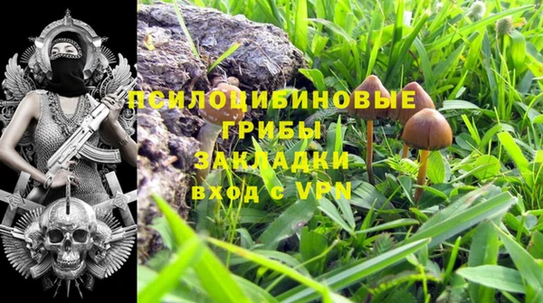 амф Арсеньев