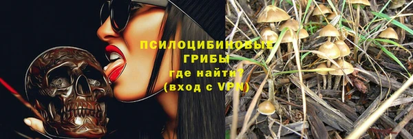 mdpv Снежногорск