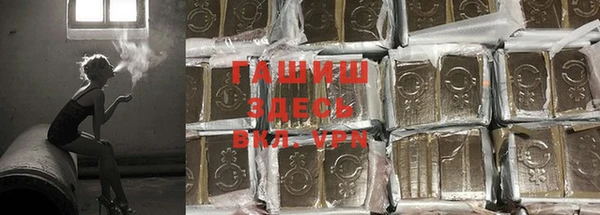 стаф Балахна