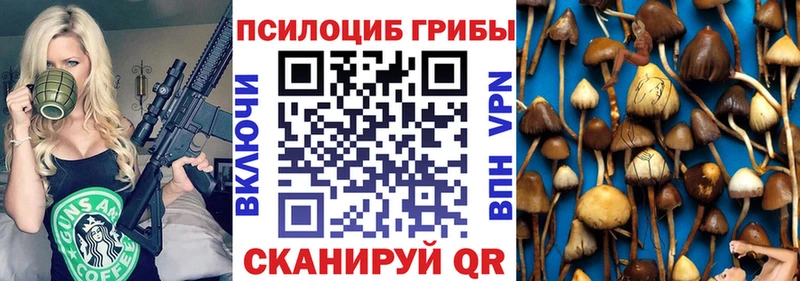 Псилоцибиновые грибы Psilocybe  Белинский 